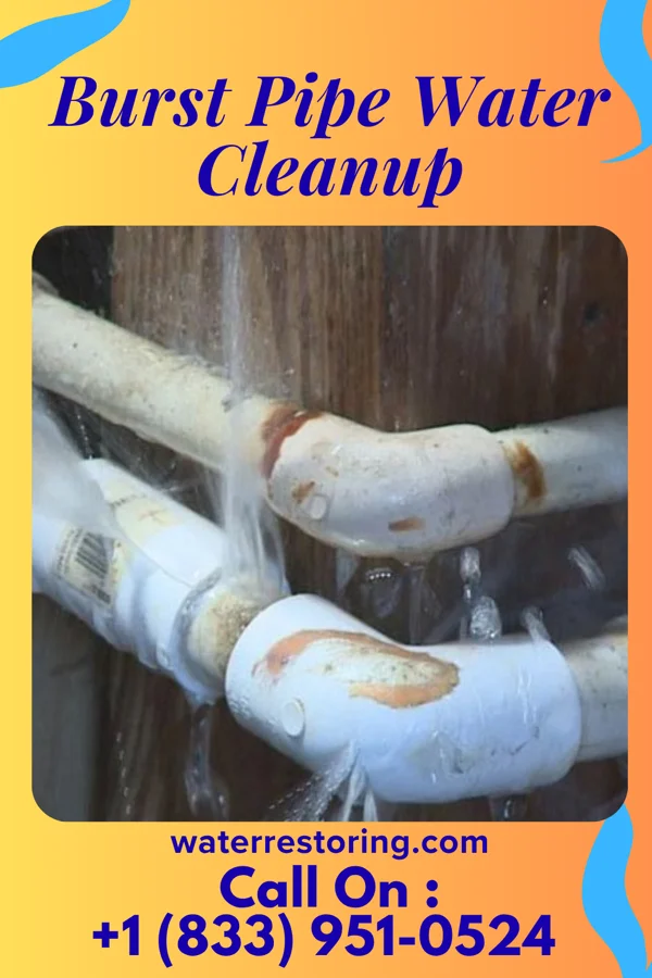 Burst Pipe Water Cleanup in Mount Carroll, IL