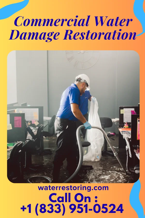 Commercial Water Damage Restoration in Mount Carroll, IL