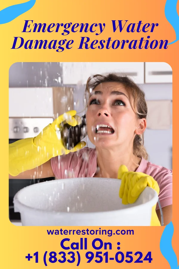 Emergency Water Damage Restoration in Mount Carroll, IL
