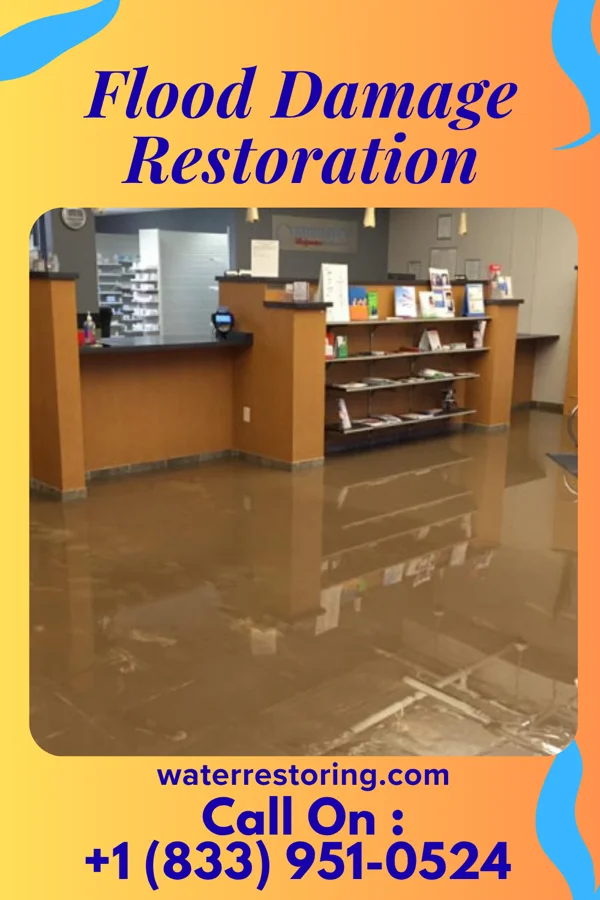 Flood Damage Restoration in Mount Carroll, IL