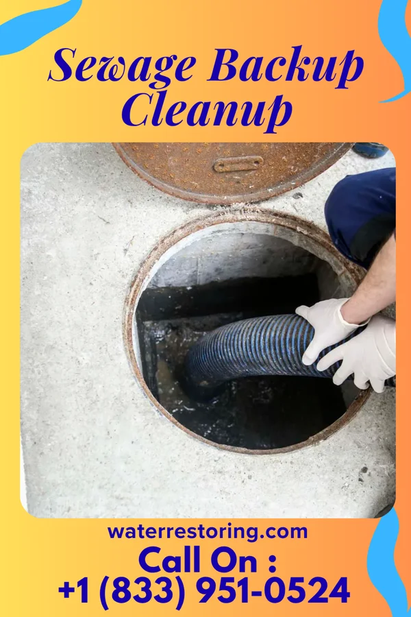 Sewage Backup Cleanup in Mount Carroll, IL