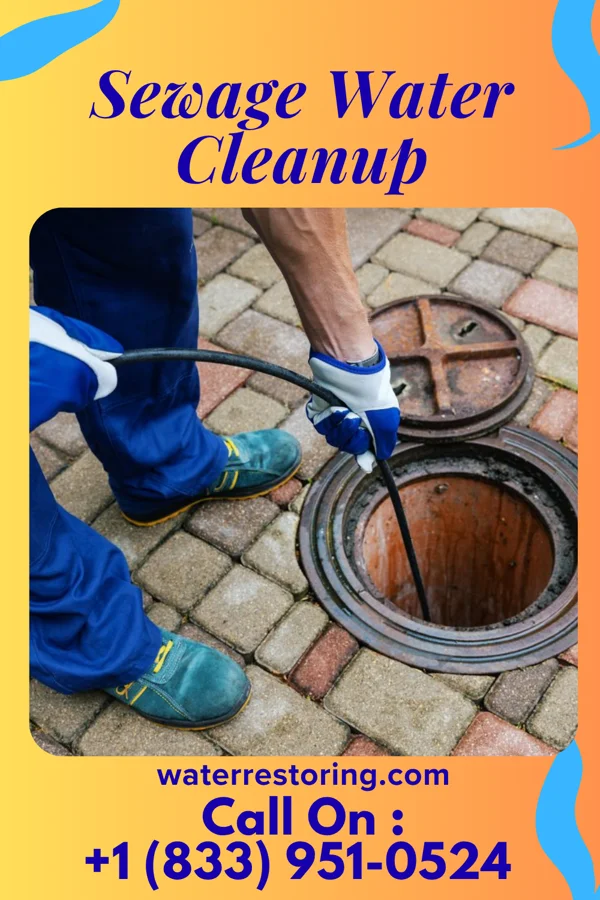 Sewage Water Cleanup in Mount Carroll, IL