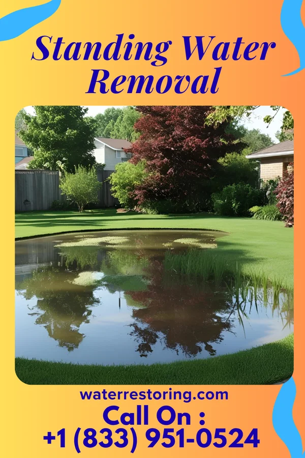 Standing Water Removal in Mount Carroll, IL